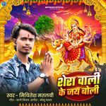 Sherawali Ki Jay Boli