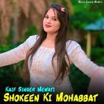Shokeen Ki Mohabbat