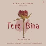 Tere Bina