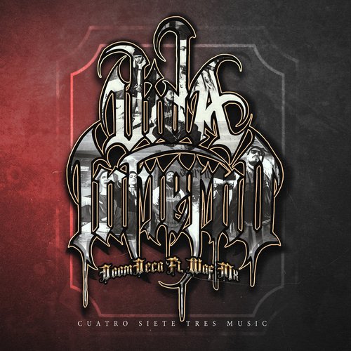 Vida Infierno cover art