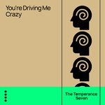 You're Driving Me Crazy