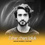 Zahar Chani Loluk