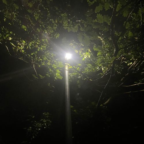 from house to jungle cover art