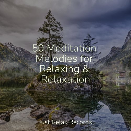 50 Meditation Melodies for Relaxing & Relaxation