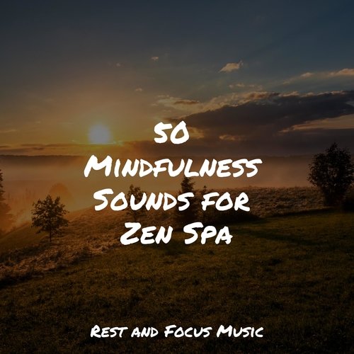 50 Mindfulness Sounds for Zen Spa