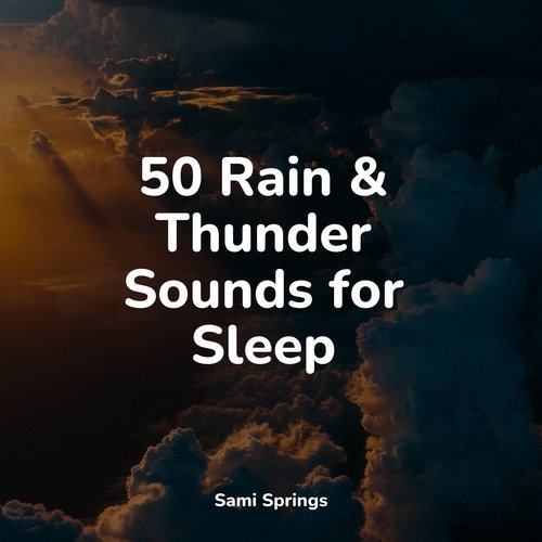 50 Rain & Thunder Sounds for Sleep