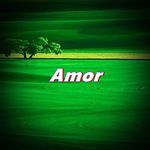 Amor