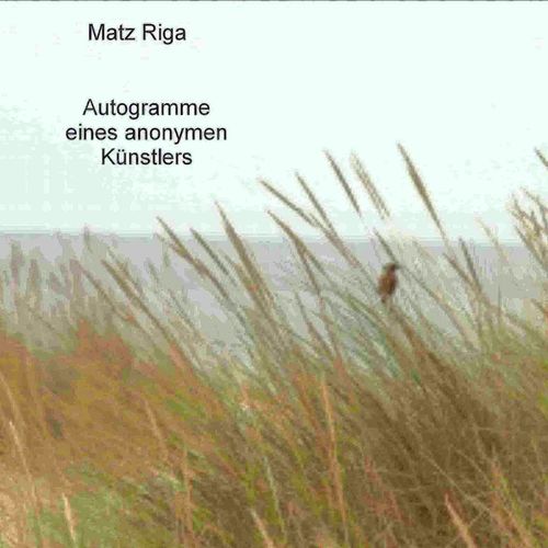 Aldis Rache cover art