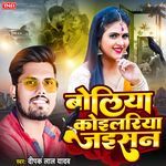 Boliya Koilariya Jaisan