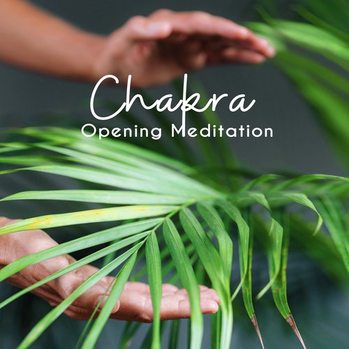 Open Chakras cover art