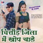 Chittod Jila Me Khop Chale