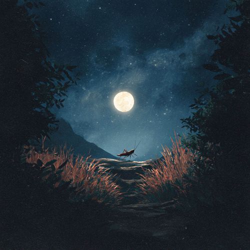 Harmonic Rift Convergence cover art