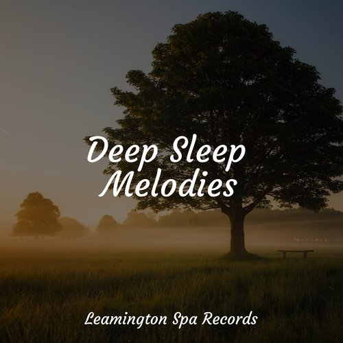 Deep Sleep Melodies