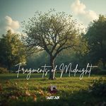 Fragments of Midnight