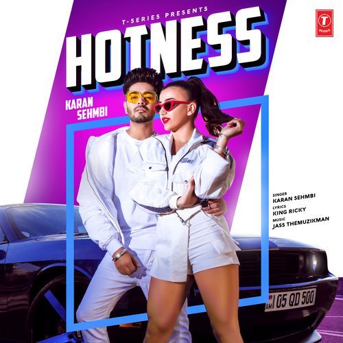 Hotness cover art