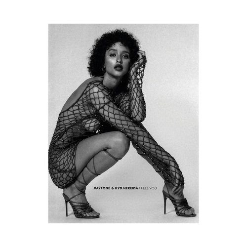 I Feel You (Mudd Instrumental Remix) cover art