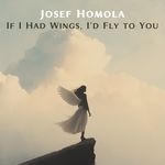 If I Had Wings, I'd Fly to You