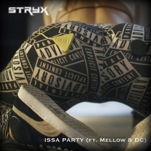 Issa Party (feat. Mellow & DC)