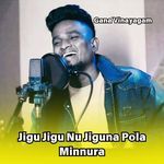 Jigu Jigu Nu Jiguna Pola Minnura