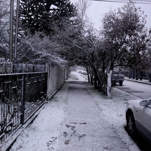 Kampos de Hielo cover art