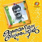Chaavakkaatte