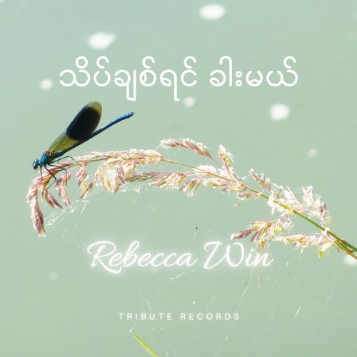 သိပ်ချစ်ရင်ခါးမယ် (Live)