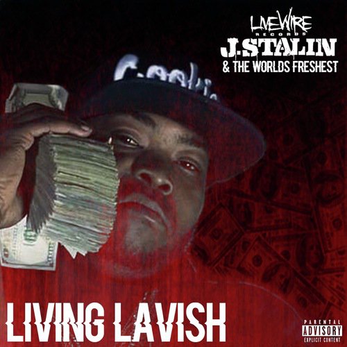 Living Lavish_poster_image