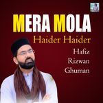 Mera Mola Haider Haider