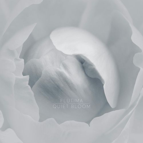 Quiet Bloom cover art
