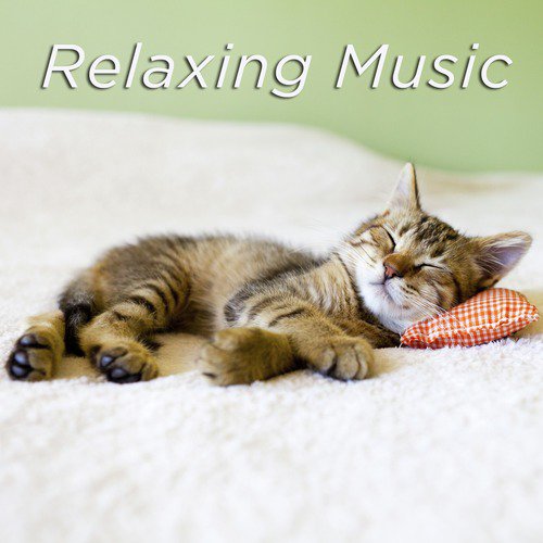 Relaxing Music_poster_image