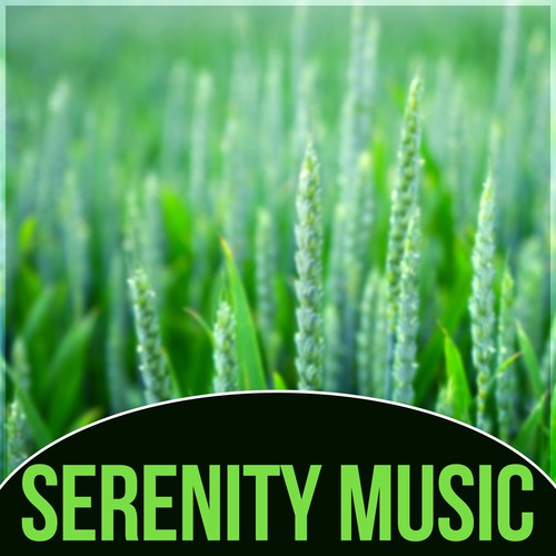Serenity Music - Healing Sound, Spa Music, Background, Massage Therapy, Ocean Waves, Mindfulness Meditation