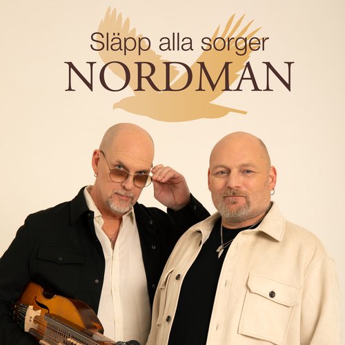 Släpp alla sorger_poster_image