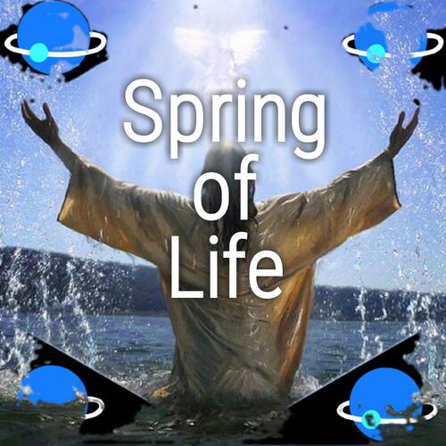 Spring of Life (feat. Apostle Samuel)_poster_image