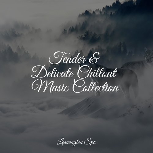Ultimate Relaxation cover art