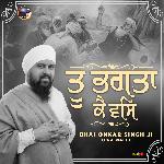 Tu Bhagta ke Vas