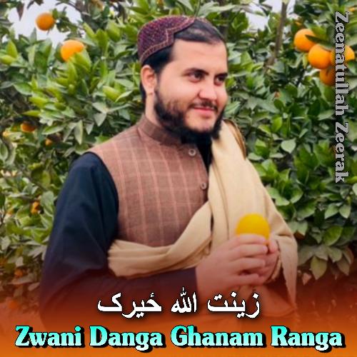 Zwani Danga Ghanam Ranga