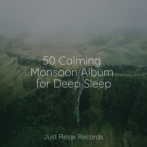 50 Calming Monsoon Album for Deep Sleep