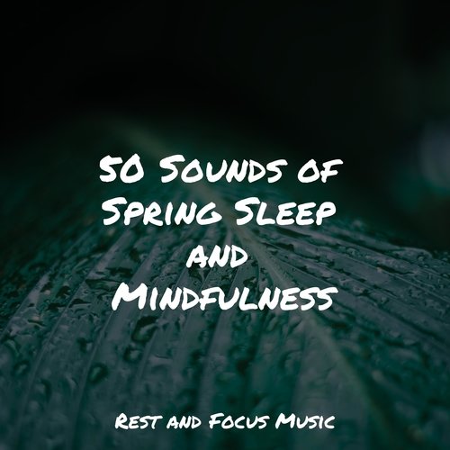 50 Sounds of Spring Sleep and Mindfulness