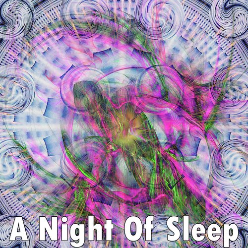 A Night Of Sleep