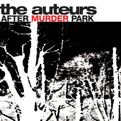 After Murder Park_poster_image