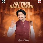 Asi Tere Naal Hayen