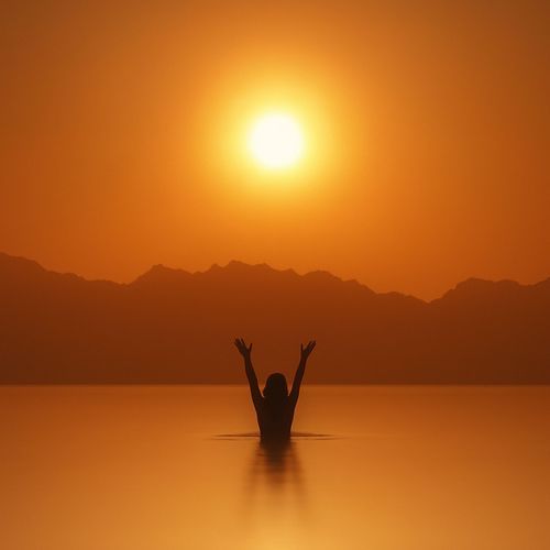 Pure Vibration cover art