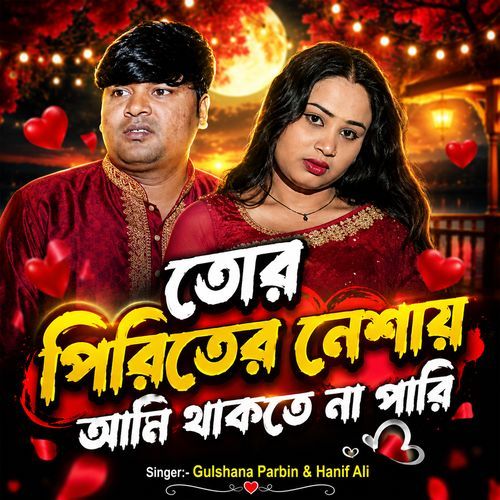 তোর পিরিতের নেশায় আমি থাকবে না পারি