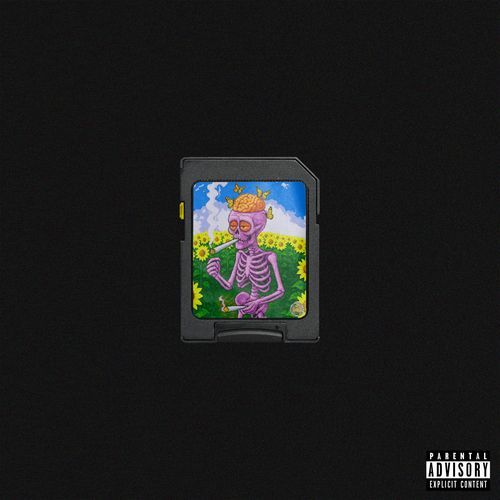 CRAZYSTYLE cover art