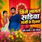Bhinge Lagal Sadiya Garmi Ke Dinwa