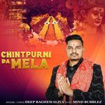 Chintpurni Da Mela