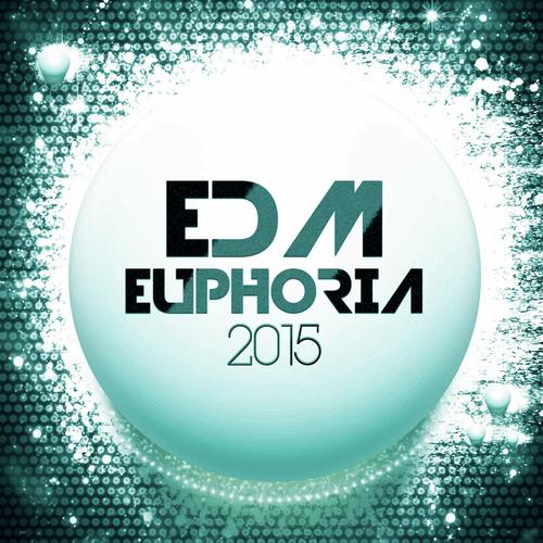 EDM Euphoria 2015