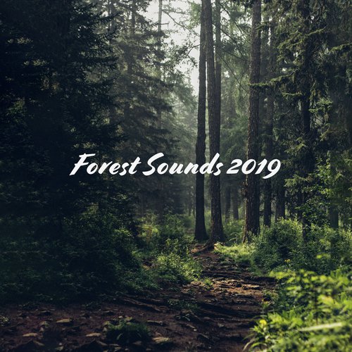 Mountain River cover art