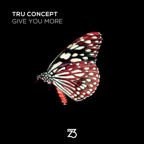 Give You More (Extended Mix)