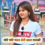 Gore gore gal teri chal sharavi